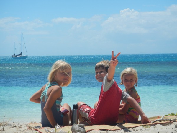 Turtles or crocodiles?