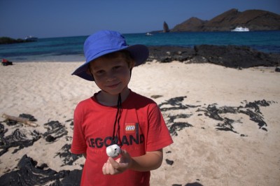 Nicky's new report on the Galapagos