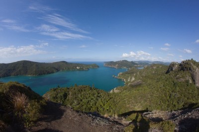 Under the Duke's Nose